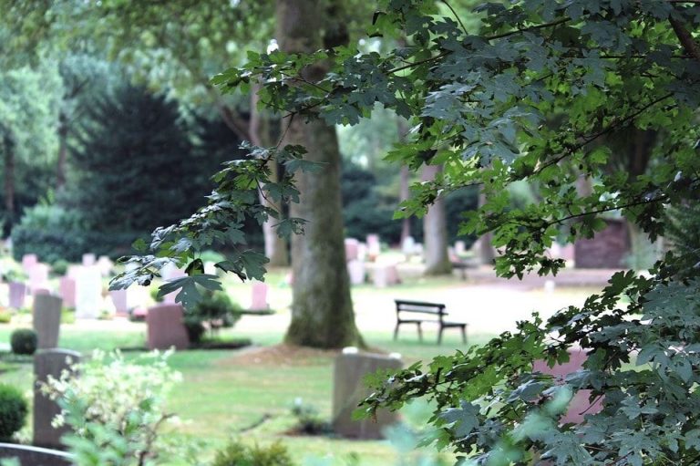 jardin de souvenir dans le bois