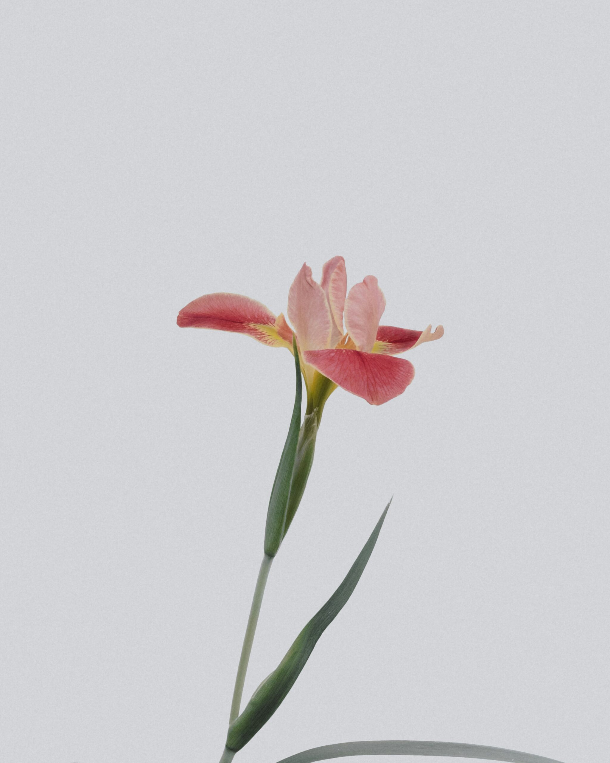 Photo de Laure GELY